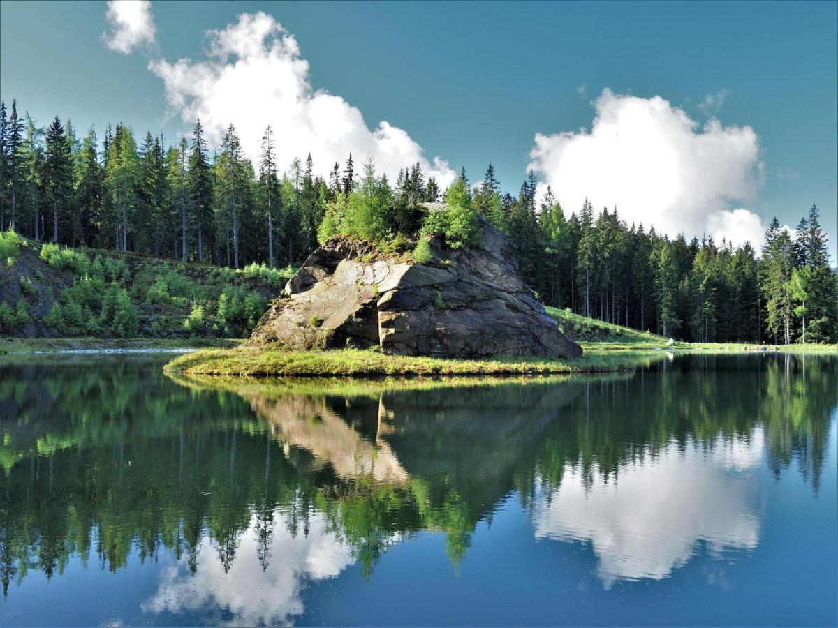Naturforsthaus Gartenblick für tier- und naturverbundene Menschen Preitenegg Exterior foto