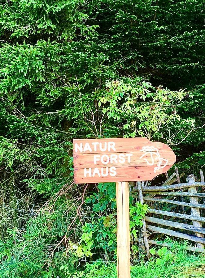 Naturforsthaus Gartenblick für tier- und naturverbundene Menschen Preitenegg Exterior foto